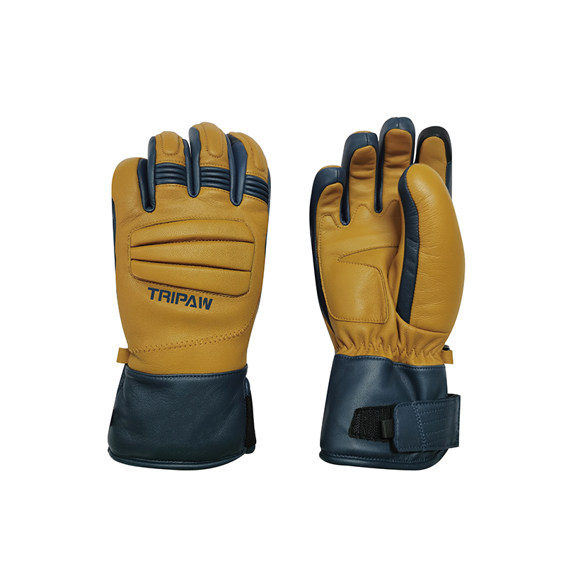 Ski gloves