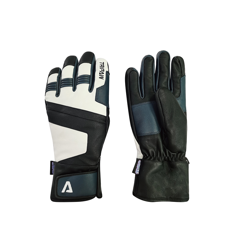 Ski gloves