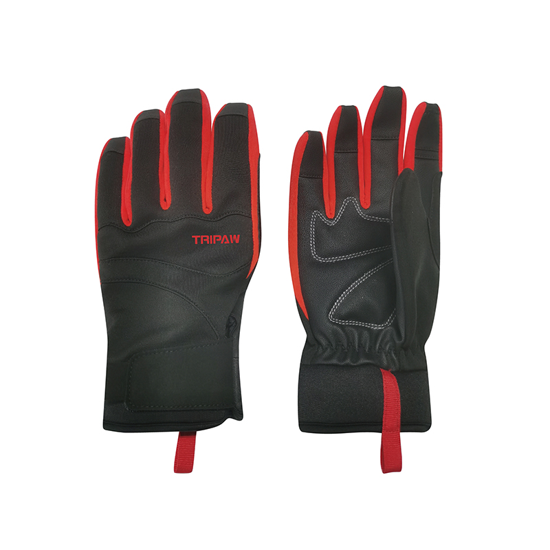 Ski gloves