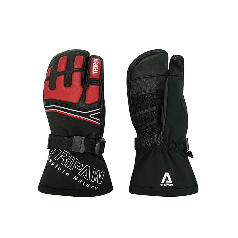 Ski gloves