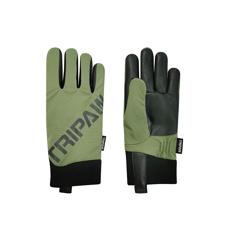 Ski gloves