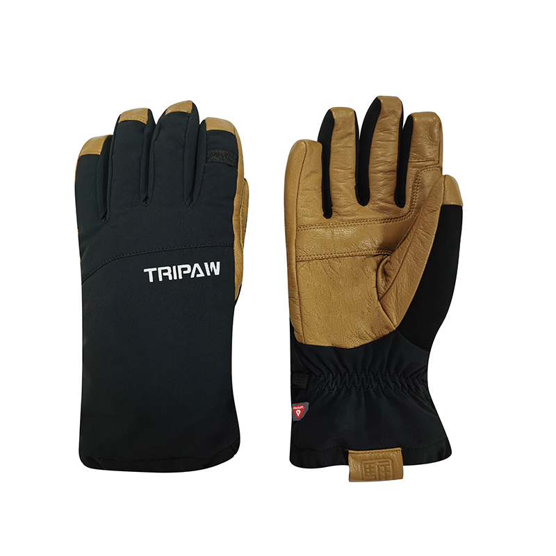 Ski gloves