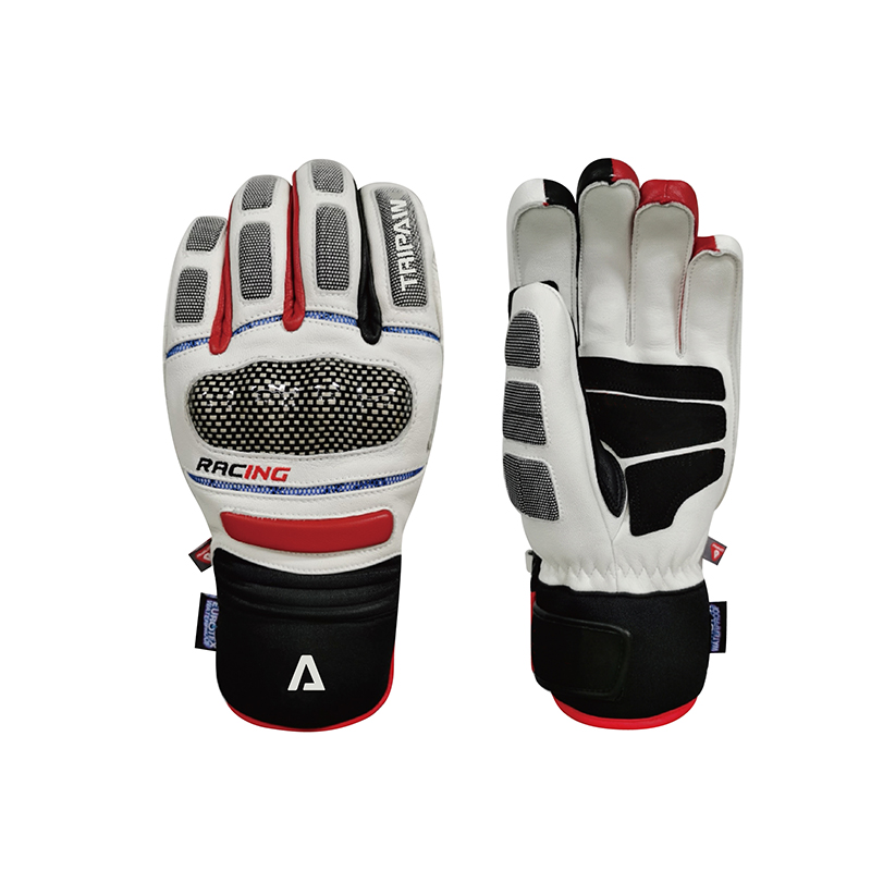 Ski gloves